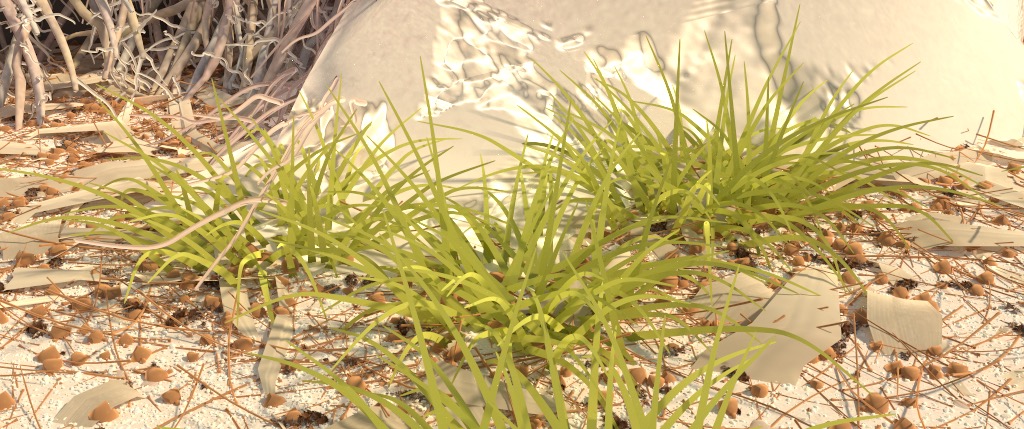 Figure 7b: 'grassCam' camera angle, rendered using PBRT v3. The sand dune in the background looks particularly different from the Hyperion render due to subdivision and displacement.