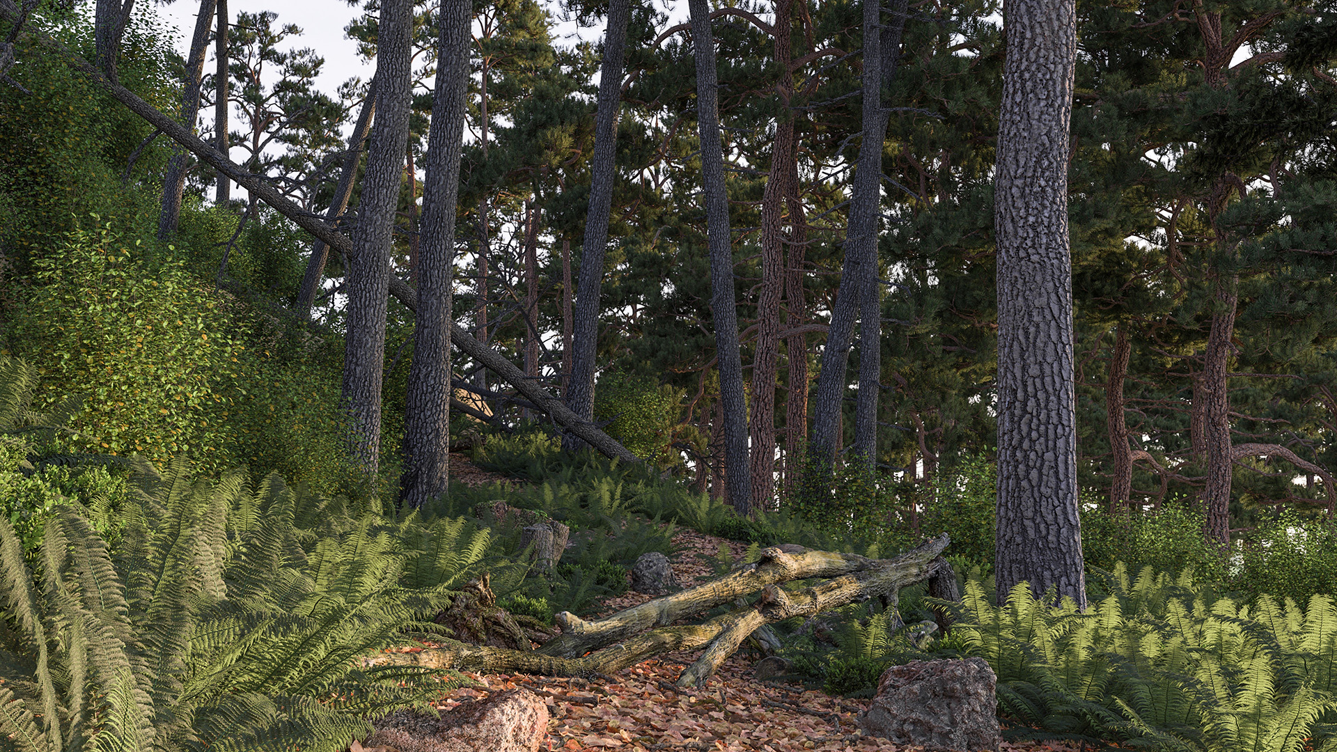 Figure 1: A forest scene in the morning, rendered using Takua Renderer. 6 GB of textures on disk accessed using a 1 GB in-memory texture cache.