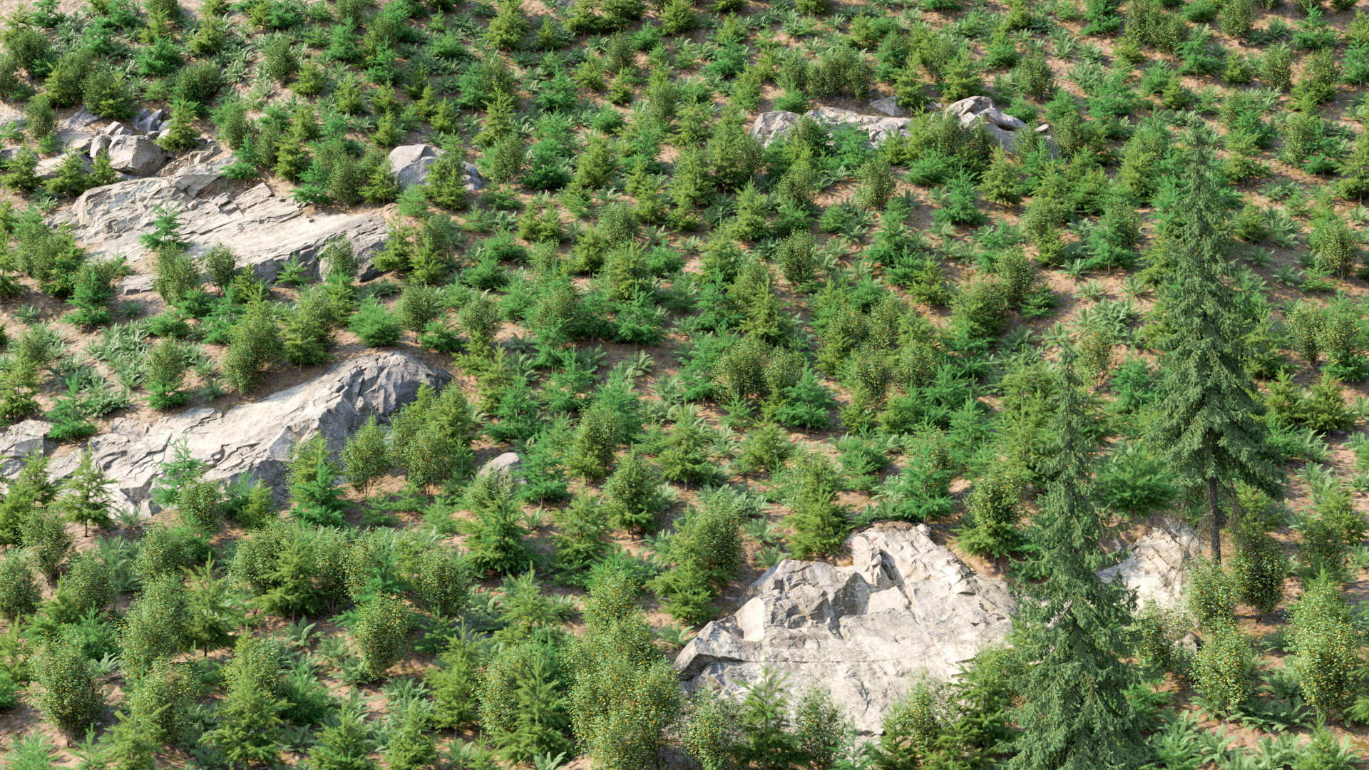 Figure 15: In-progress test render of the forest floor and under-canopy vegetation.