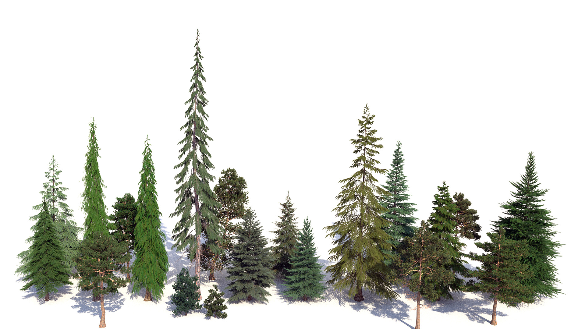 Figure 16: Test render of a lineup of the trees used in the final forest.