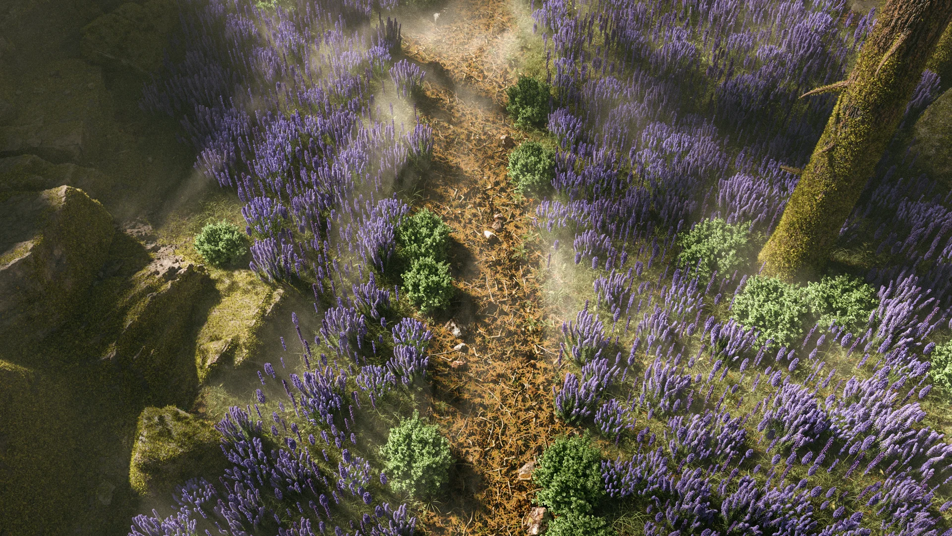 Figure 12: Top-down detail view of the footpath debris, from the final version of the scene with mossy, volumes, etc.