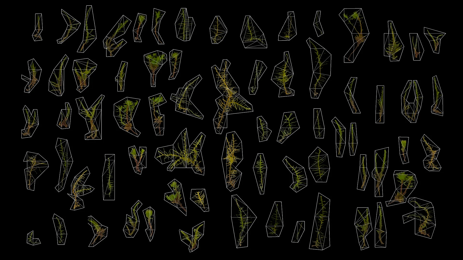 Figure 13: Some of the moss cards; note that each card's shape tries to minimize the amount of opacity map lookups required. Black indicates areas that are completely transparent to the renderer.