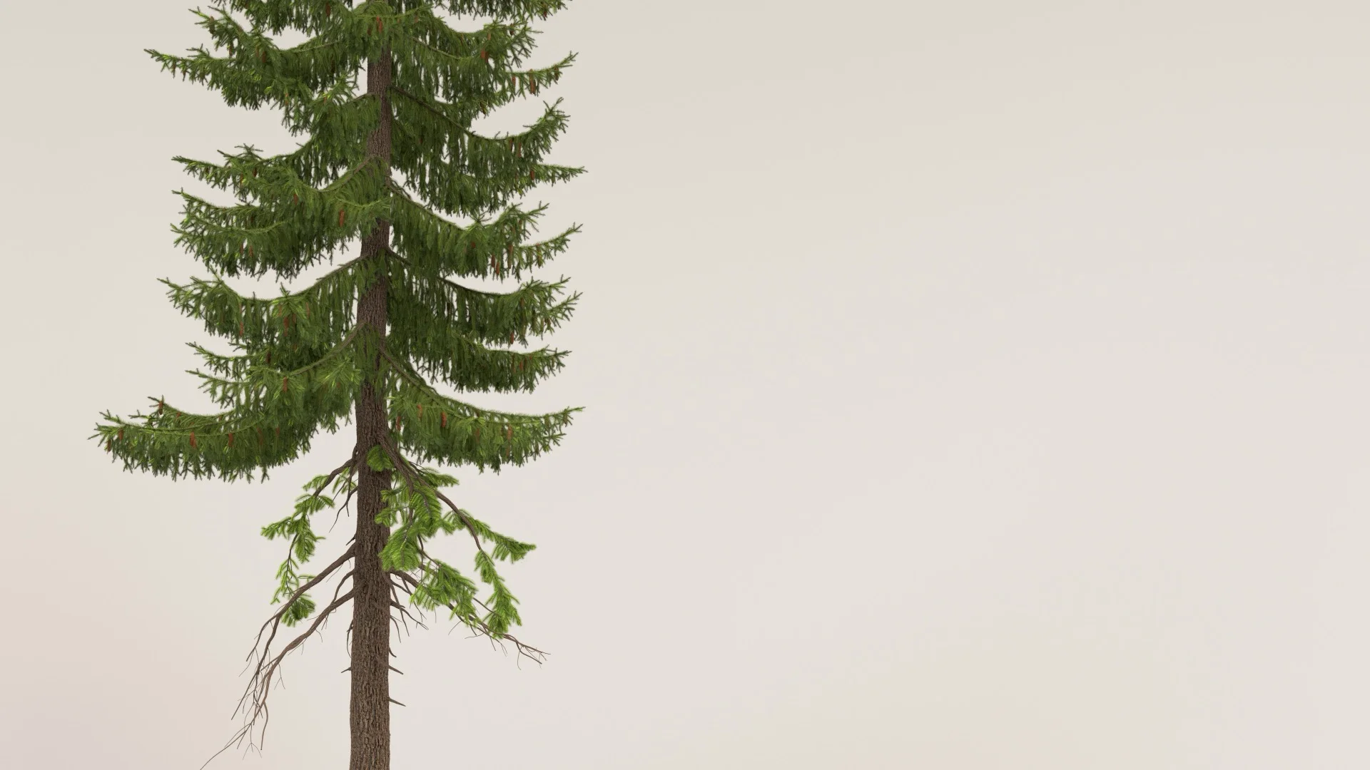 Figure 6: Lookdev test render of a spruce tree, lower half.