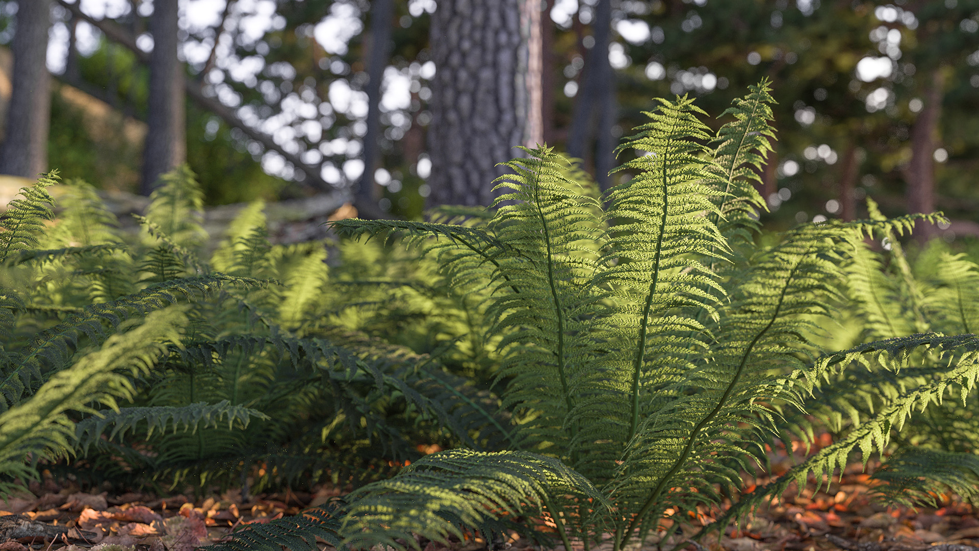 Figure 4: Detailed close-up of a fern in the forest scene. Rendered using Takua Renderer on a M1 Max 14-inch MacBook Pro. Click through for full 4K version.